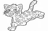 Coloring Jaguar Pages Baby Cartoon Drawing Getdrawings Print sketch template