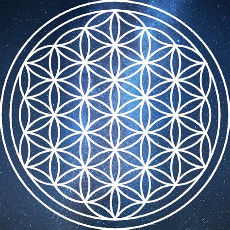 flower  life  introduction  sacred geometry  daily dish