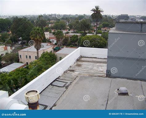 city street   roof top stock photo image  tall palm