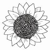 Sunflower Coloring Pages Template Printable Clipart Sunflowers Color Patterns Flower Flowers Plasma Cut Chocolate Yard Pattern Print Click Leaves Stencil sketch template