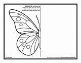 Symmetry Butterfly Kids Activity Coloring Pages Drawing Printable Worksheets Activities Sheets Symmetrical Mirror Template Draw Grade Artforkidshub Bug Pdf Color sketch template