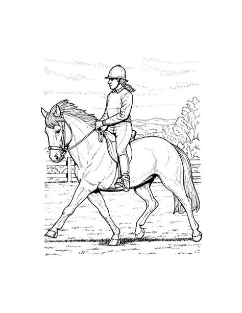 horse jumping coloring page coloring home