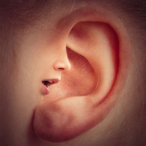 constant ringing  ears  symptoms  treatment  health