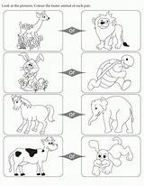 Coloring Pages Opposites Color Clipart Faster Animal Cartoon Kids English Library Printable Educational Activity Pair Each Look Getcolorings Popular Conflict sketch template