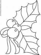 Christmas Holly Coloring Pages Kids sketch template