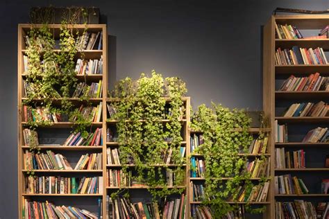 unique cool bookshelves bookcases