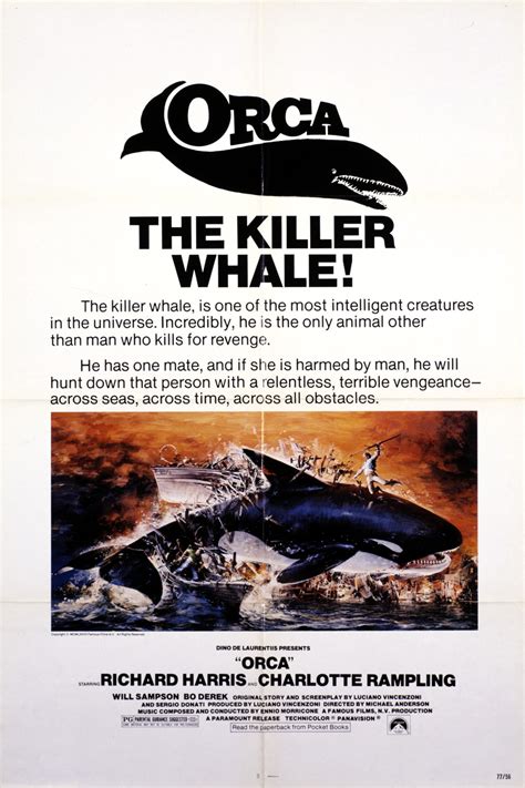 orca  killer whale  reviews