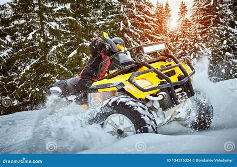 winter race   atv  snow   forest stock photo image  road leader