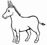 Asno Burros Asnos Burro Niños Donkey Compartan Motivo Pretende Disfrute sketch template