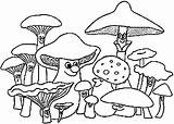 Kleurplaten Mewarnai Jamur Paddestoelen Pilze Champignons Malvorlagen Funghi Cogumelos Ausmalbilder Animasi Pilz Ausmalbild Coloriages Colorir Malvorlage Bergerak Imprimer Desenhos Champignon sketch template