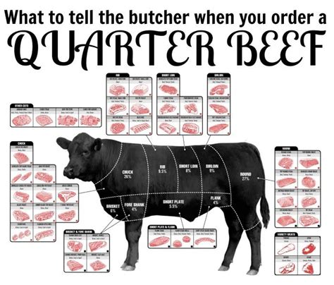 butcher   order  quarter beef beef cuts