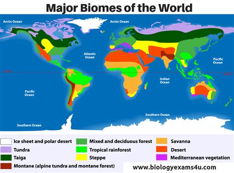 major biomes   world