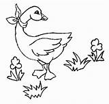 Goose Gans Riscos Risco Ausmalbilder Colorat Pata Tecido Ducks Imagini Novos Oie Gaste Patinha Desene Ligne Pour Coloriages Bookmark sketch template