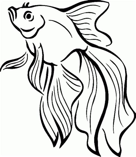 fish coloring pages  printable