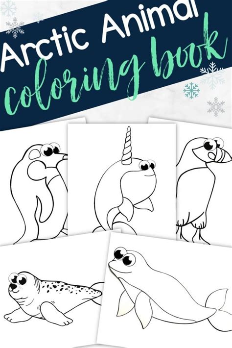 arctic animals coloring pages  preschoolers