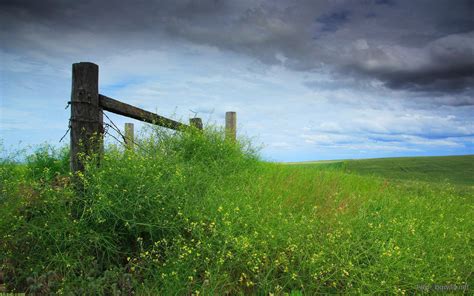 fence  grass wallpaper high resolution background