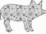 Pigs Svg Zentangle Guinea sketch template