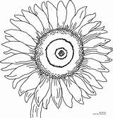 Sunflower Coloring Printable Pages Color Click Size Flower Adult sketch template