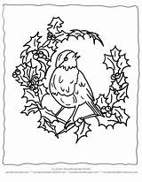 Coloring Christmas Pages Winter Bird Printable Vintage Birds Ausmalbilder Colouring Animals Color Carol Tree Scenery Coloringhome Print Popular Visit Xmas sketch template