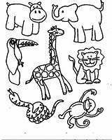 Animals Coloring Color sketch template