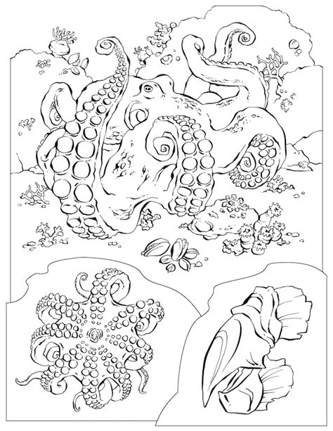 national geographic animal coloring pages