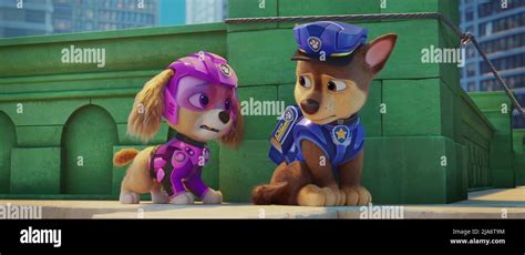 paw patrol le film  realise par cal brunker credit