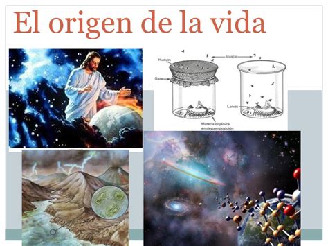 Teorías Del Origen De La Vida 190 Jugadas Quizizz