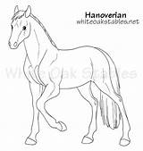 Hanoverian Horse Realistic Stables Oak Game sketch template