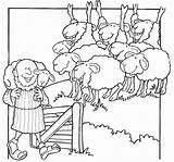 Sheep Smarrita Pecorella Parable Parabola Pastore Parables Shepherd Religiocando Perdida Ovelha Oggetti Biblici Attività Parabole sketch template