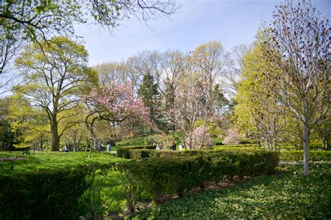 visit   brooklyn botanic garden  rituals katies bliss