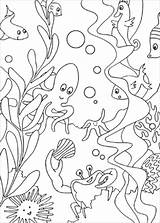 Aquatic Coloring Animals Pages Toddlers Printable Coloringbay sketch template