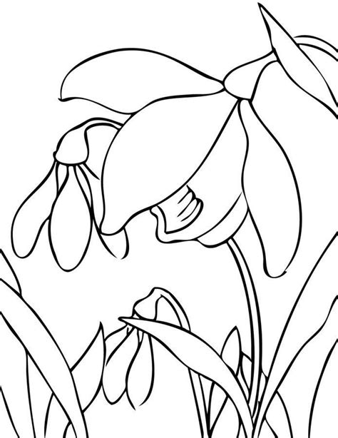 spring flower template coloring home