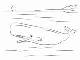 Whale Sperm Coloring Cute Pages Printable Cartoon Categories sketch template