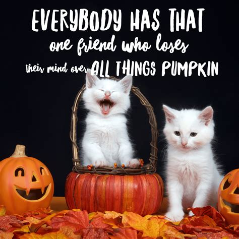 halloween memes hilarious pics  share  hallow day