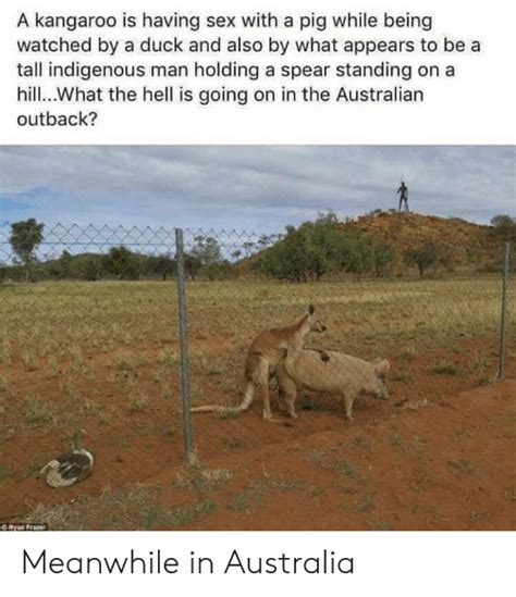🔥 25 Best Memes About Kangaroo Kangaroo Memes