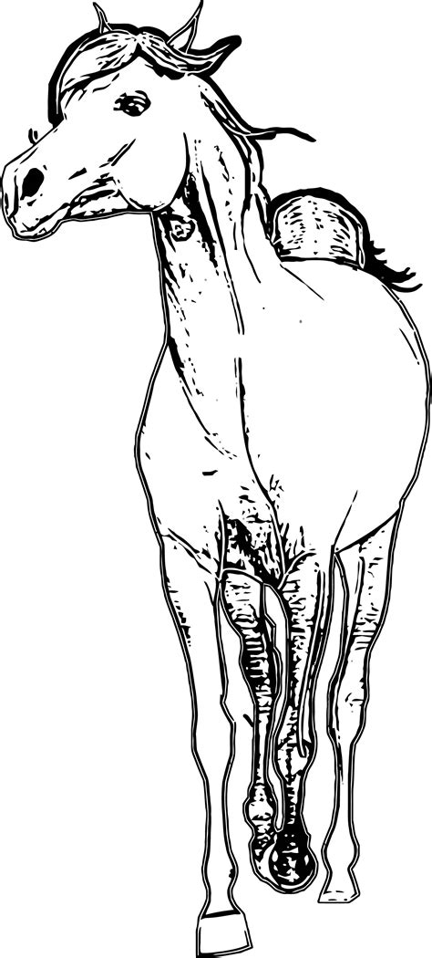 horse coloring pages wecoloringpagecom