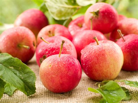 apples small  koshas yoga wellness