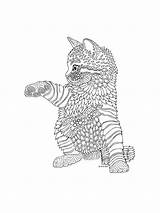Pages Coloring Kitten Adults Zentangle Printable Adult Bright Teens Colors Favorite Color Choose sketch template