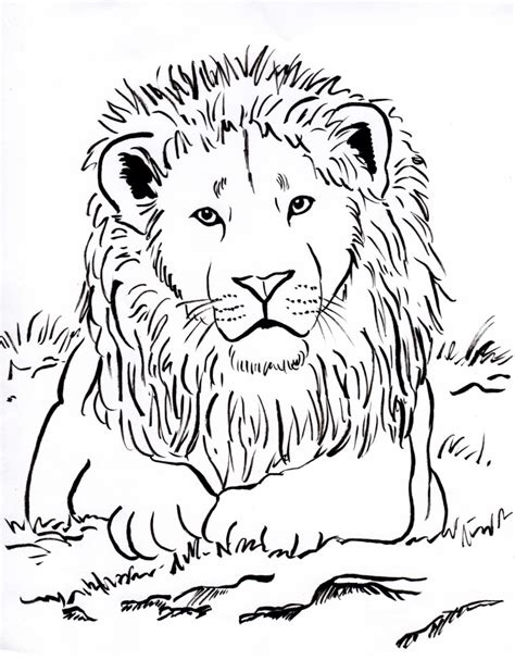 lion coloring page art starts