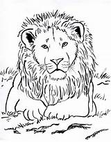 Lion Coloring Posting Late Couple Days Today Printable sketch template