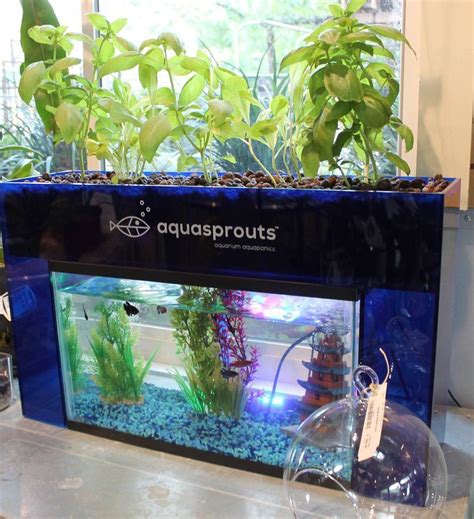 hydroponic garden  fish tank garden design