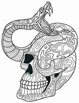 Skull Coloring Sugar Pages Adults Print Intricate Printable Size sketch template