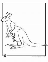 Kangaroo Coloring Baby Pages Kangaroos Print Color Popular Printer Send Button Special Only Click Use Library Jr Coloringhome sketch template