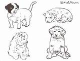 Coloring Puppies Nicole Pages Florian Created sketch template
