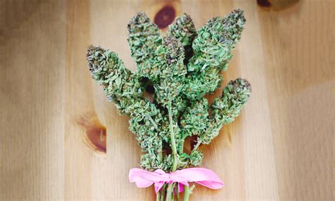 your cannabis friendly valentine s day t guide leafly