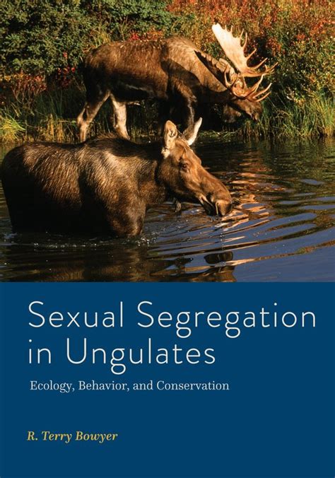 Wildlife Management And Conservation Sexual Segregation In Ungulates