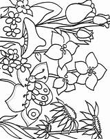 Primavera Colorear Enlaces Patrocinados sketch template