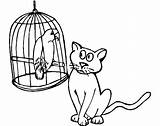 Bird Cage Coloring Cat Carefully Pages Sleeping Baby Tocolor sketch template
