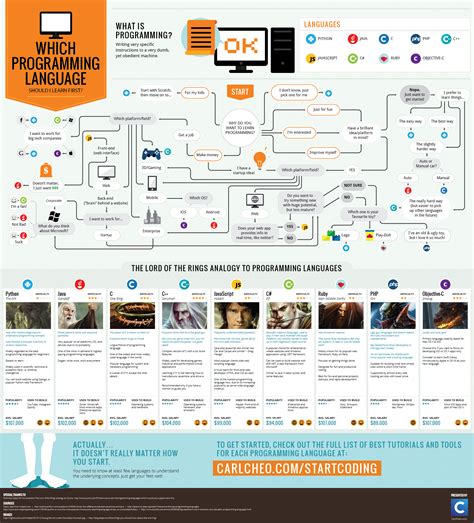 programming language   learn infographic