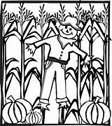 Coloring Corn Stalk Popular Scarecrow sketch template